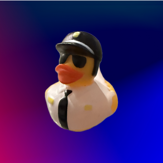 Pilot Duck